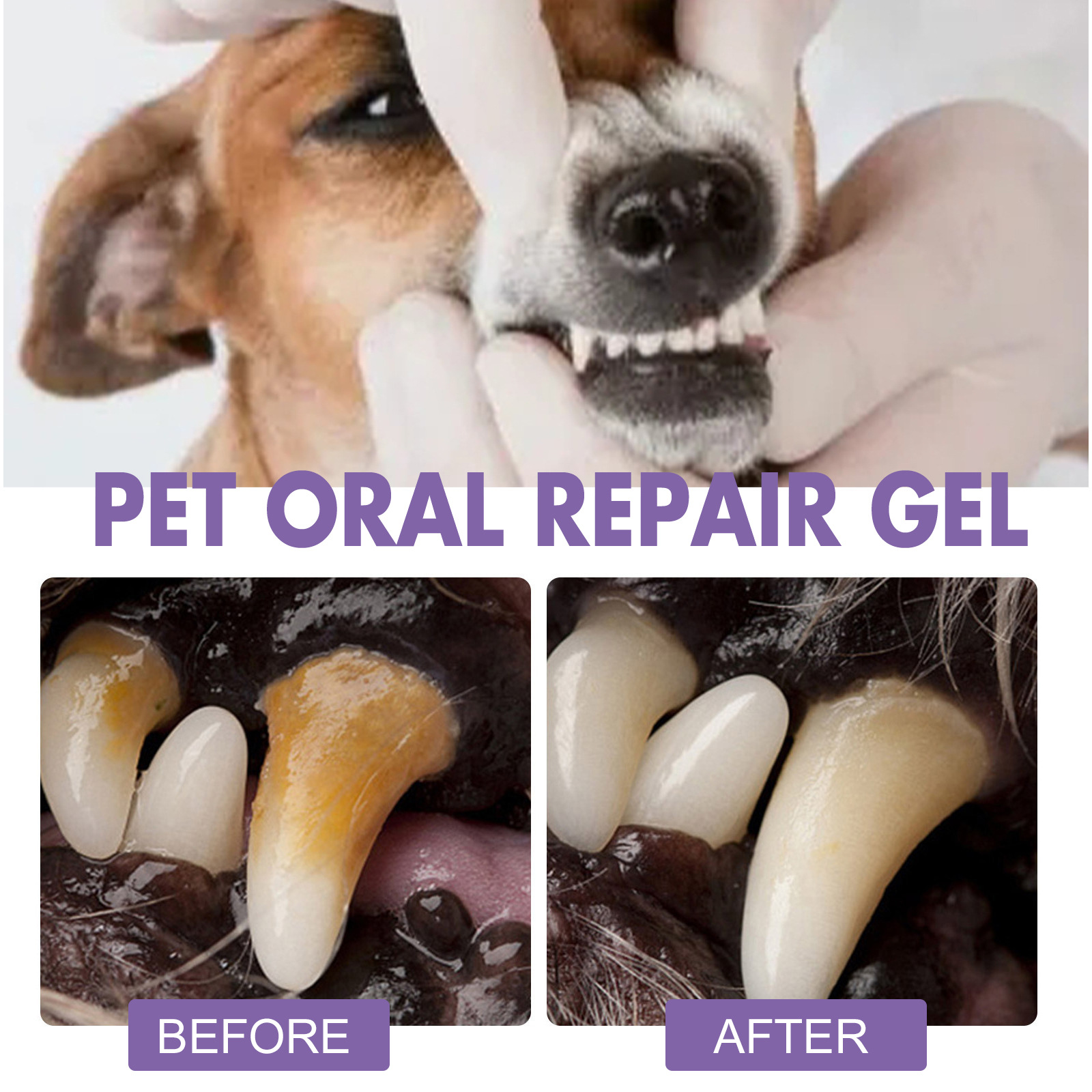 Pet Oral Repair Gel Puppy Tart - Teeth Whitening Gel Peroxide 评论和价格