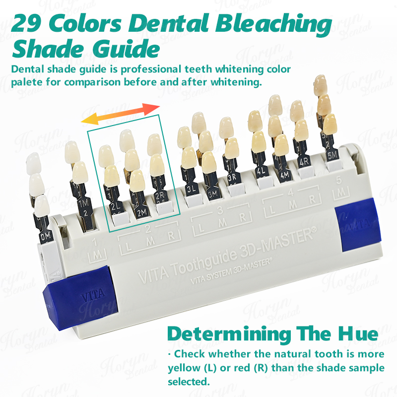 Vita 3D Master Dental Lab Blea - Teeth Whitening Shade Guide 评论和价格