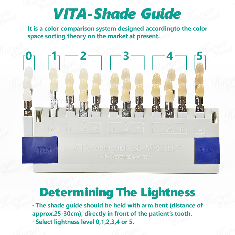 Vita 3D Master Dental Lab Blea - Teeth Whitening Shade Guide 评论和价格