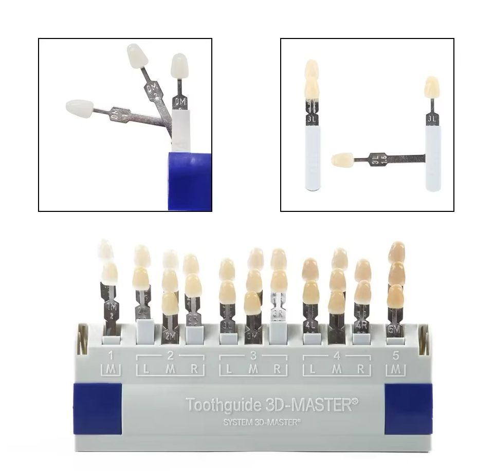 Vita 3D Master Dental Lab Blea - Teeth Whitening Shade Guide 评论和价格