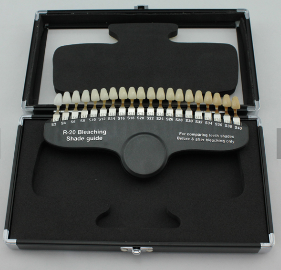 Professional 20 Colors Dental  - Teeth Whitening Dental 评论和价格