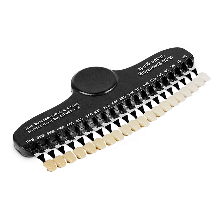 Professional 20 Colors Dental  - Teeth Whitening Dental 评论和价格